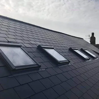 roof with velux windows